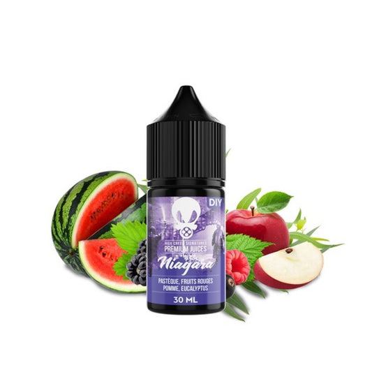 LADIY - AROME HIGH CREEK NIAGARA - 30ML